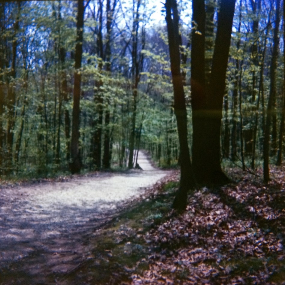 Blendon Woods, Columbus, Ohio, 1966. I usually had to shoot an entire roll of film to even come this close to making a useable shot.