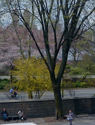 Lots going on here. Too much?