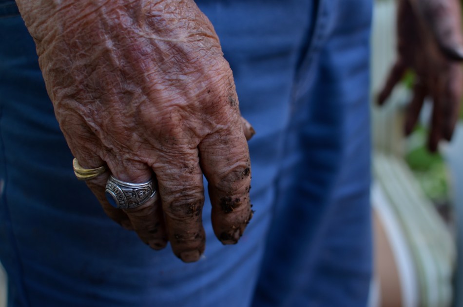 Survivors, 2014. 1/80 sec., f/4, ISO 100, 35mm.