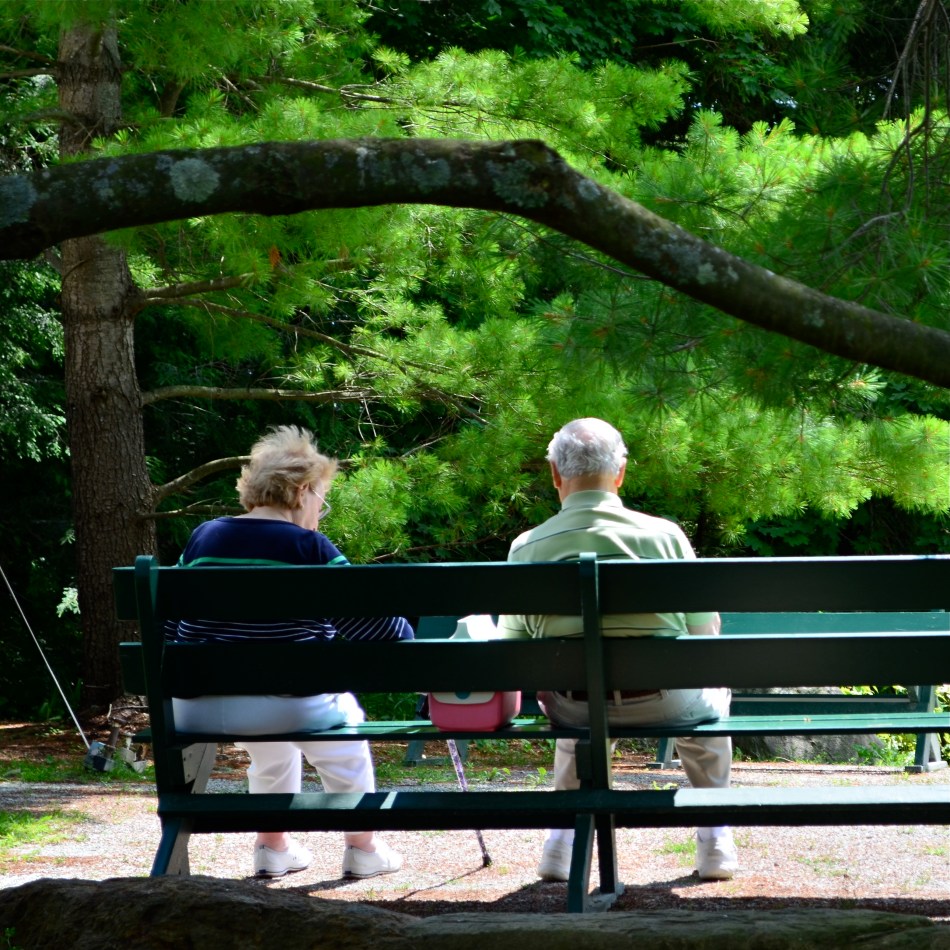 Side By SIde, 2014. 1/160 sec., f/5.6, ISO 100, 55mm.