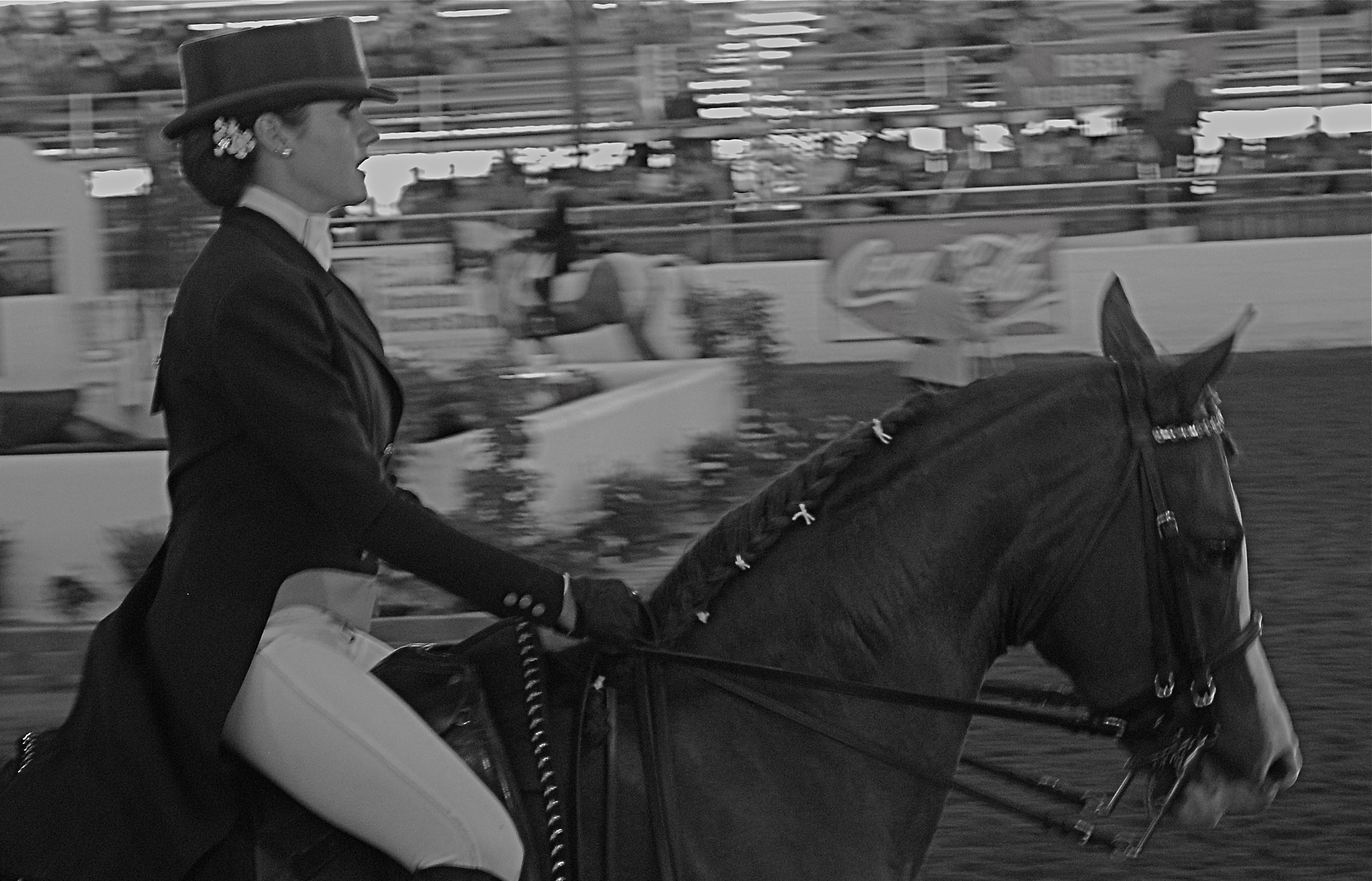 The Last Burst, 2008.