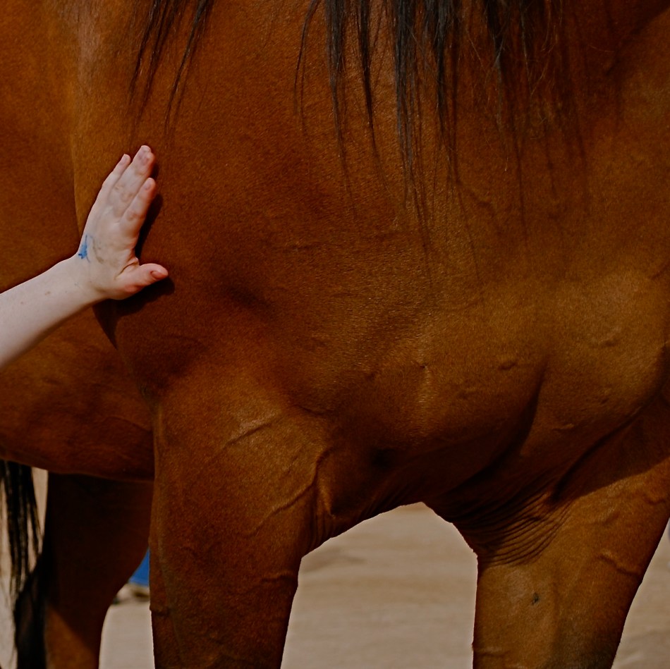 Cropping the image got to the main impact point lurking within. 