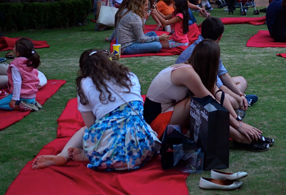 Dusk Concert, 2014. 1/40 sec., f/2.8, ISO 500, 35mm.