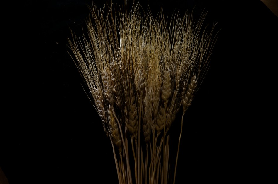 Shock-Top, 2014. Light-painted with a hand-held LED over the course of a six-second exposure, at f/5.6, ISO 100, 35mm. 