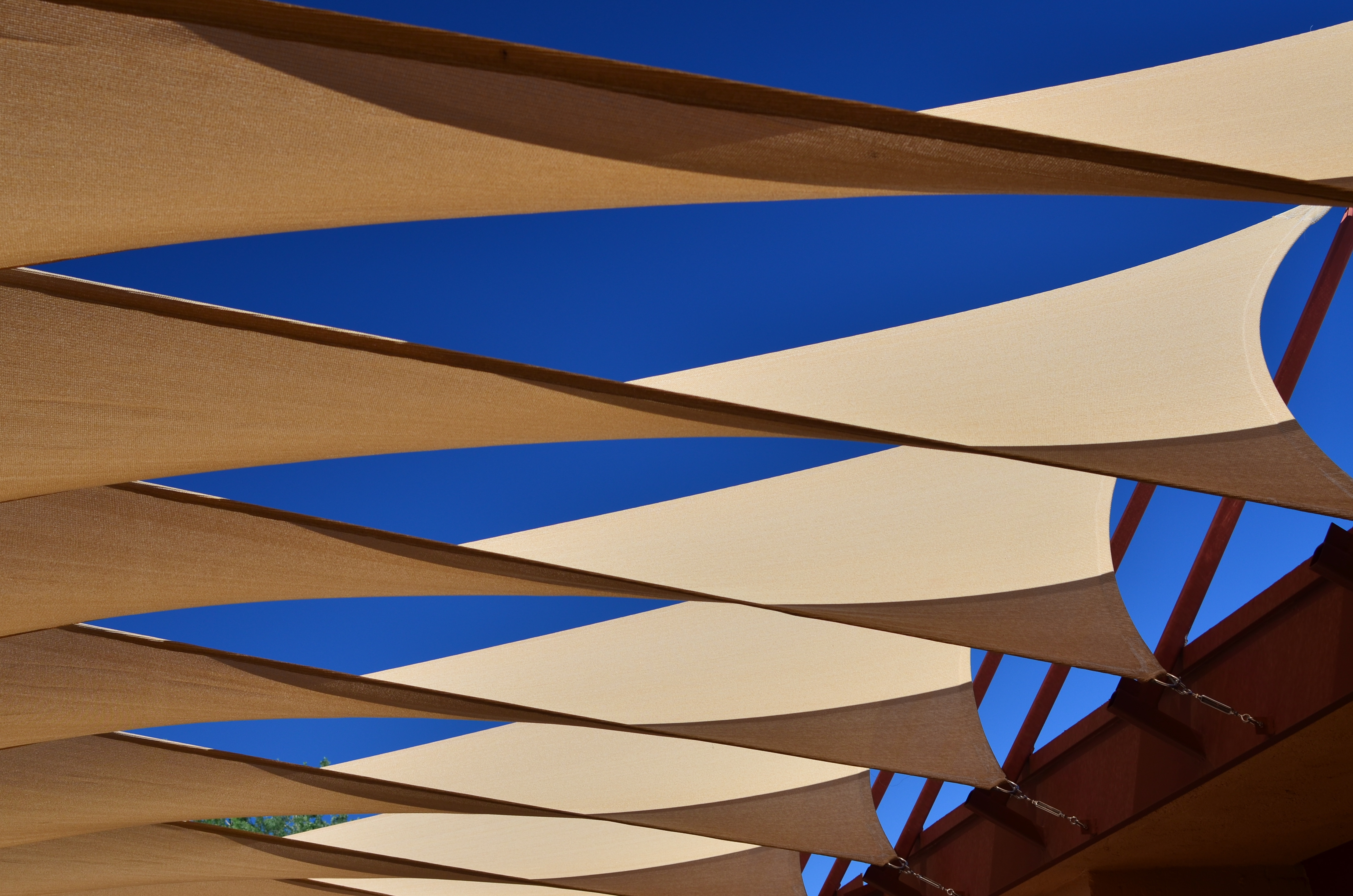 Sun Pennants, 2014. 1/400 sec., f/5.6. ISO 100, 35mm.