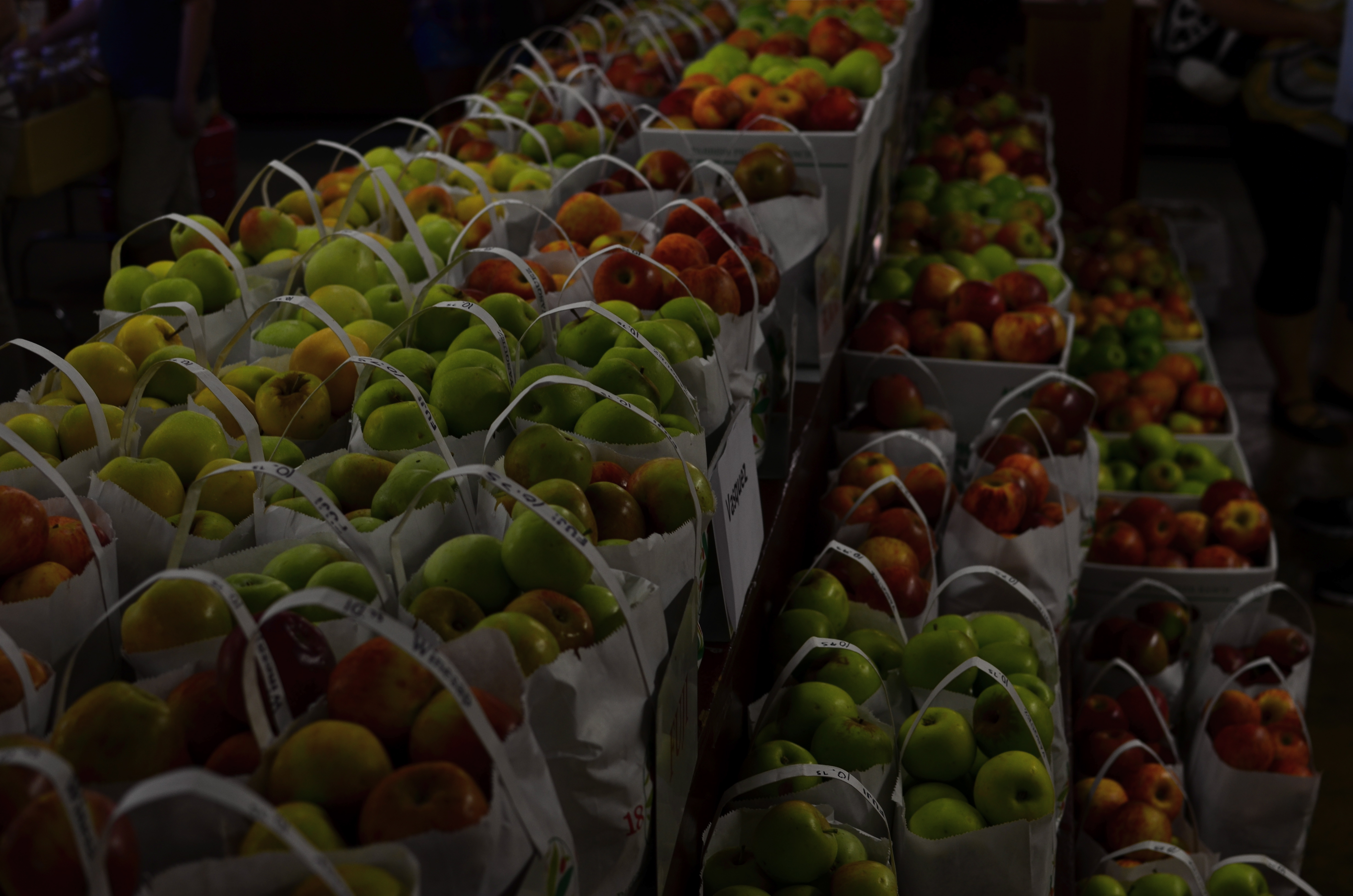 Yield, 2014. 1/30 sec., f/4, ISO 100, 35m.