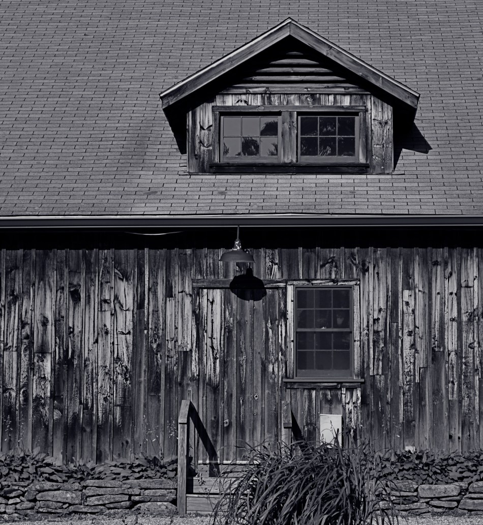 Color would have added nothing to this image. In fact, it would have detracted from its impact. 1/400 sec., f/5.6. ISO 100, 55mm.