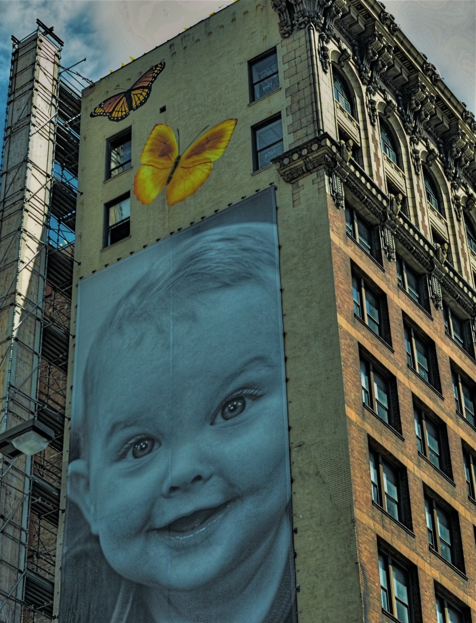 Even the pictures that come up short can teach you more than the ones you never make.