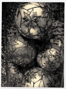 ..or you can whip up this warm platinum print simulation.