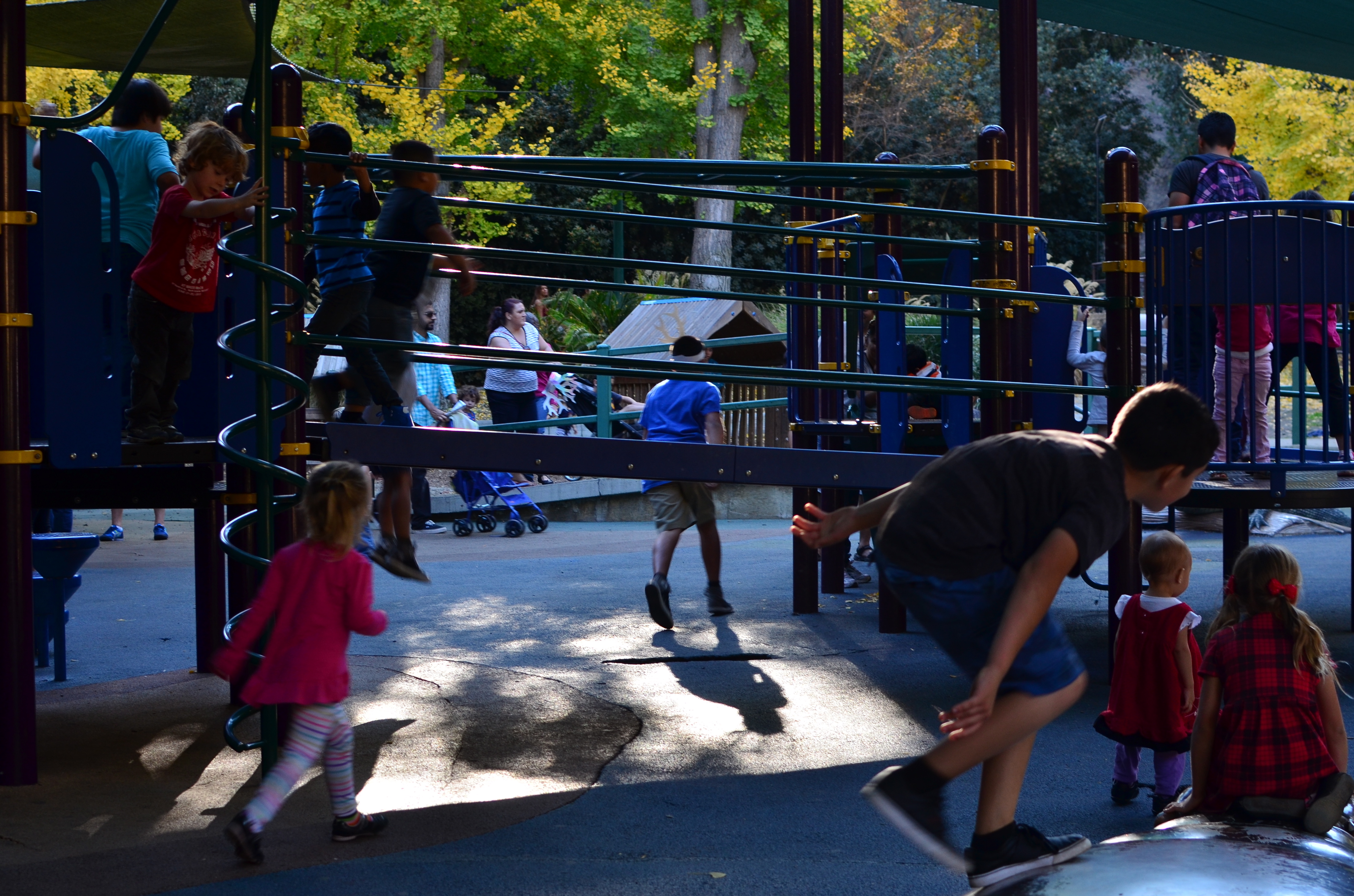 Even at the Los Angeles Zoo, the most interesting animals are on the opposite side of the bars.