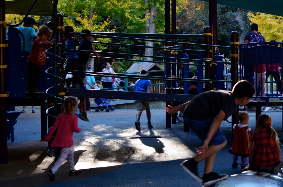 Even at the Los Angeles Zoo, the most interesting animals are on the opposite side of the bars.