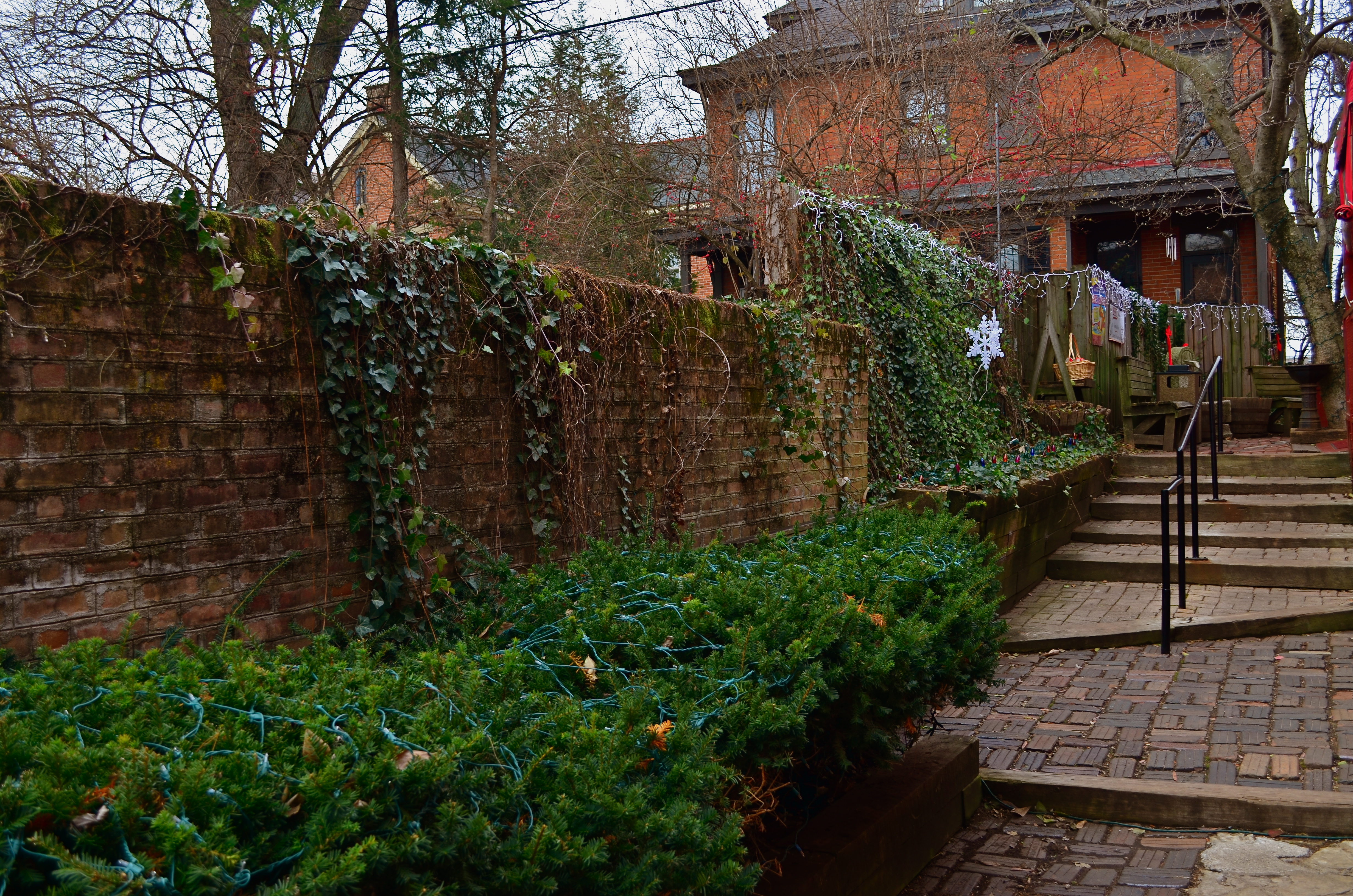 Book Loft Alley, 2014.