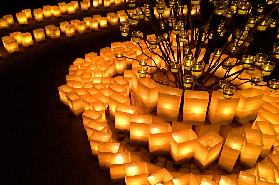 Another year spent chasing the light.