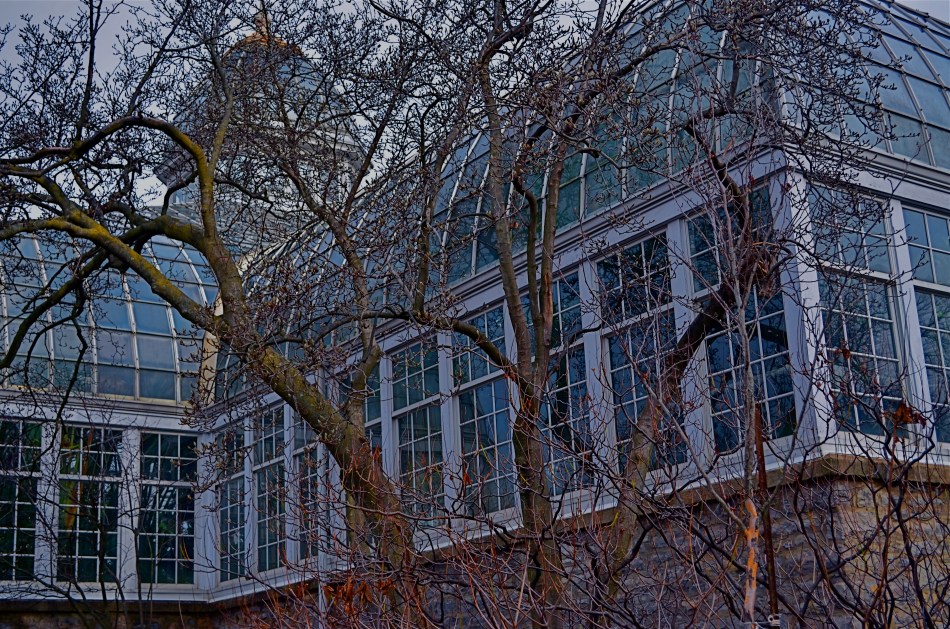 Franklin Park Conservatory, 2015.