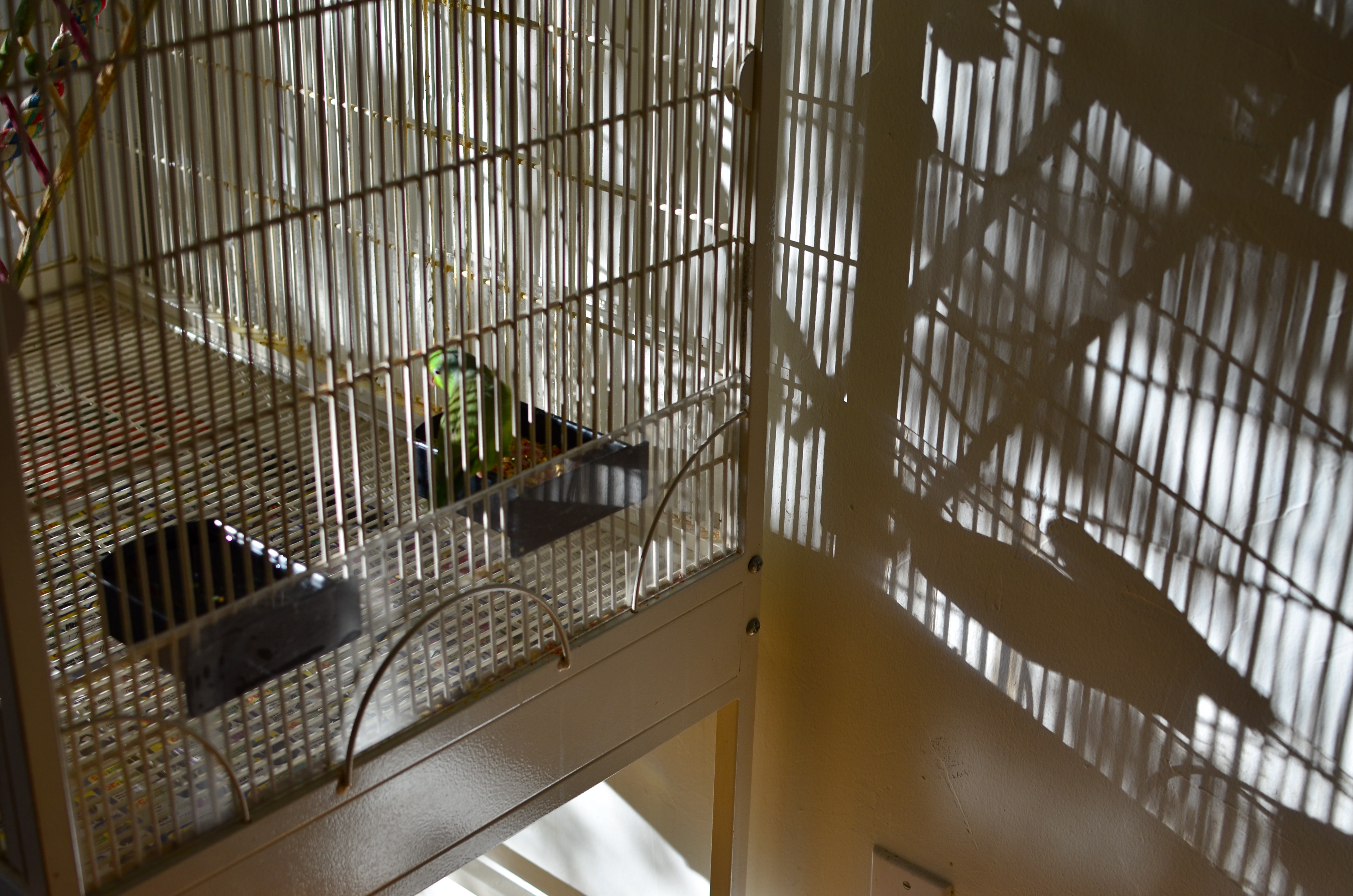 Does your camera protect you, or contain you?