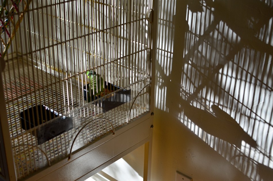 Does your camera protect you, or contain you?