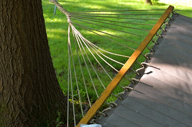 Do you need either the entire tree or the entire hammock to sell the idea in this picture?