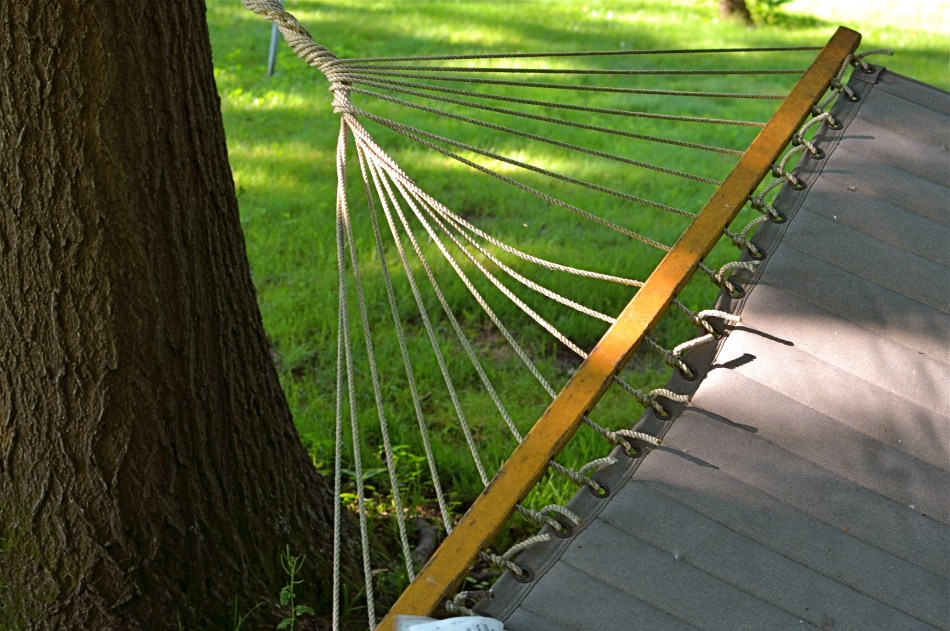 Do you need either the entire tree or the entire hammock to sell the idea in this picture?