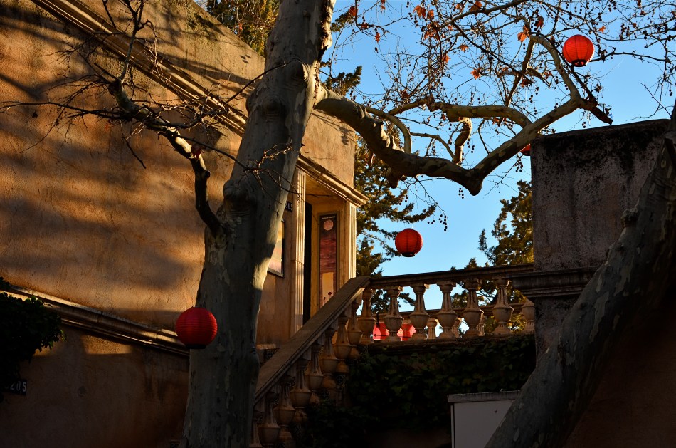 1/125 sec., f/5.6, ISO 100, 35mm.