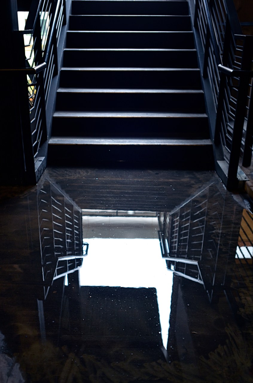 I shot this on a day when I was forcing myself to master a manual f/2.8 lens wide open. That made depth-of-field tricky.