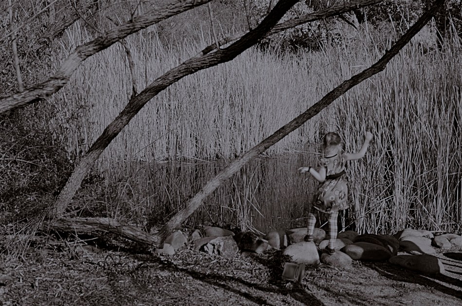 She Of The Reedy River, 2015.