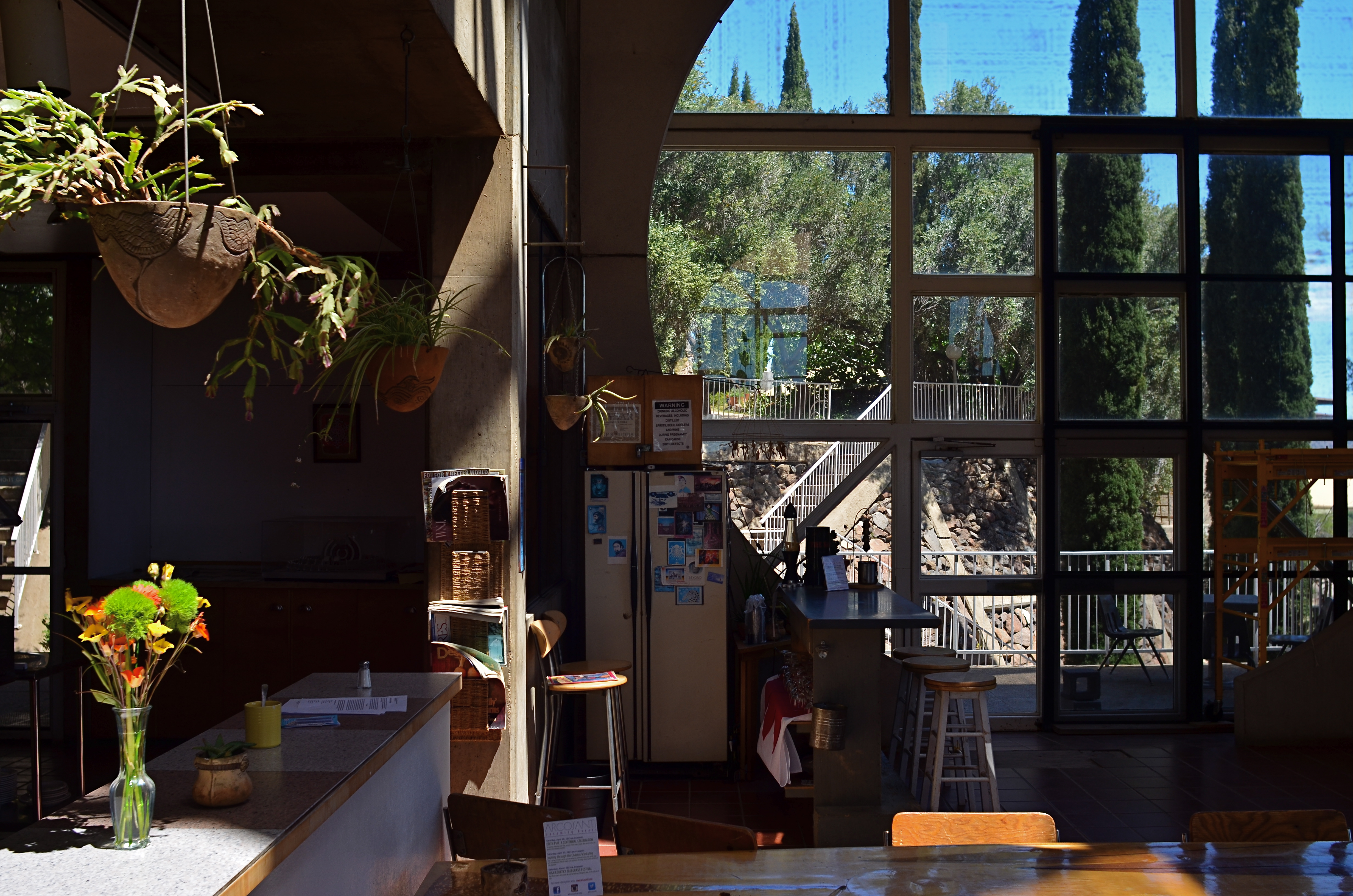 Uneven light, high contrast, but I can save this shot because I can take direct control of camera settings.