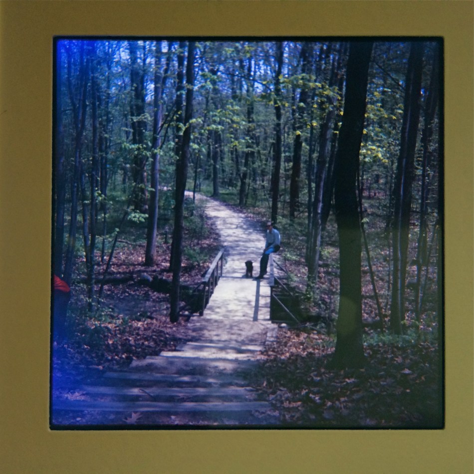 One of my first slides fom 1965. Only after they were processed did I realize they were too big for our family projector. 