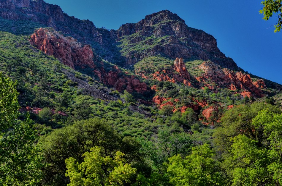 There are many ways this photo could be improved. Sticking my face in front of the mountain isn't one of them.