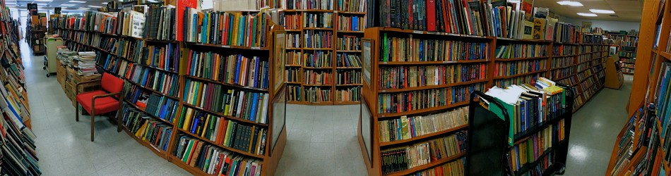 The Pondrous Pile, 2015. Some subjects benefit from this obvious distortion of perspective. 