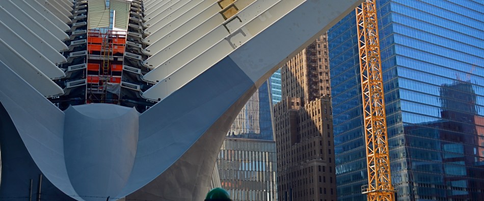 A Forest Of Rebirth, 2015. Image cropped nearly two-thirds from original. 