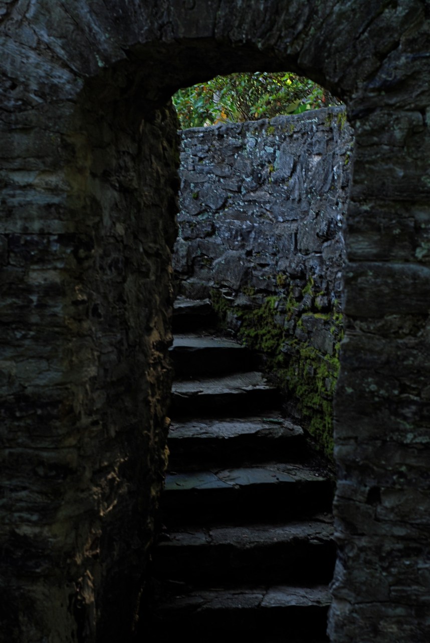 The original idea for this shot is fairly strong, but my execution of it left something to be desired. Like execution. 