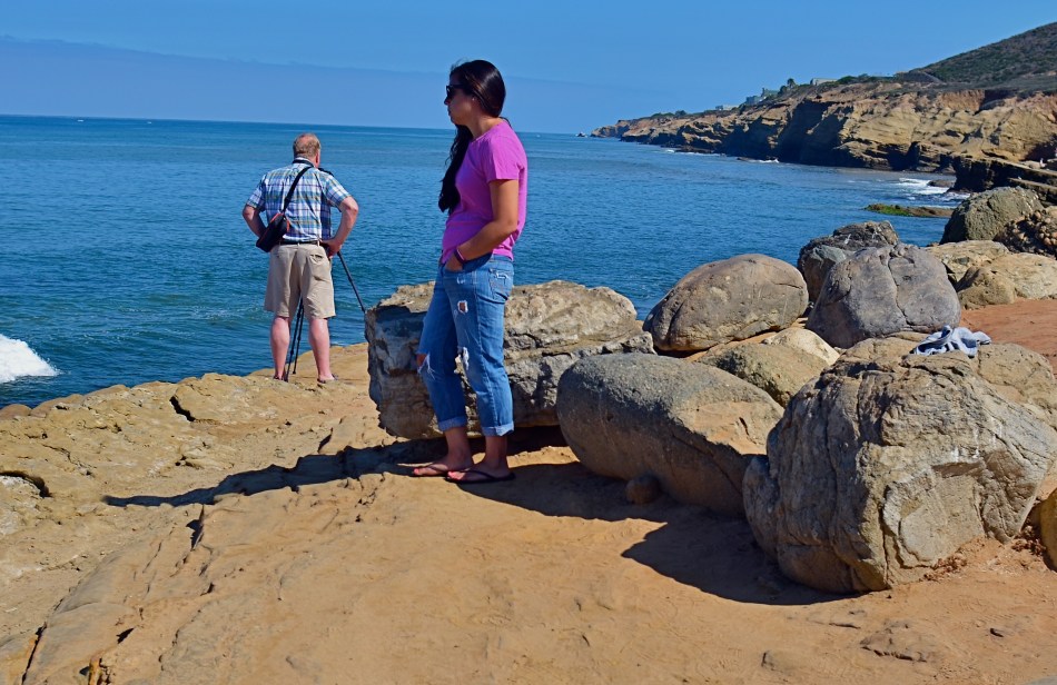 ".....should I stay, or should I go?...."