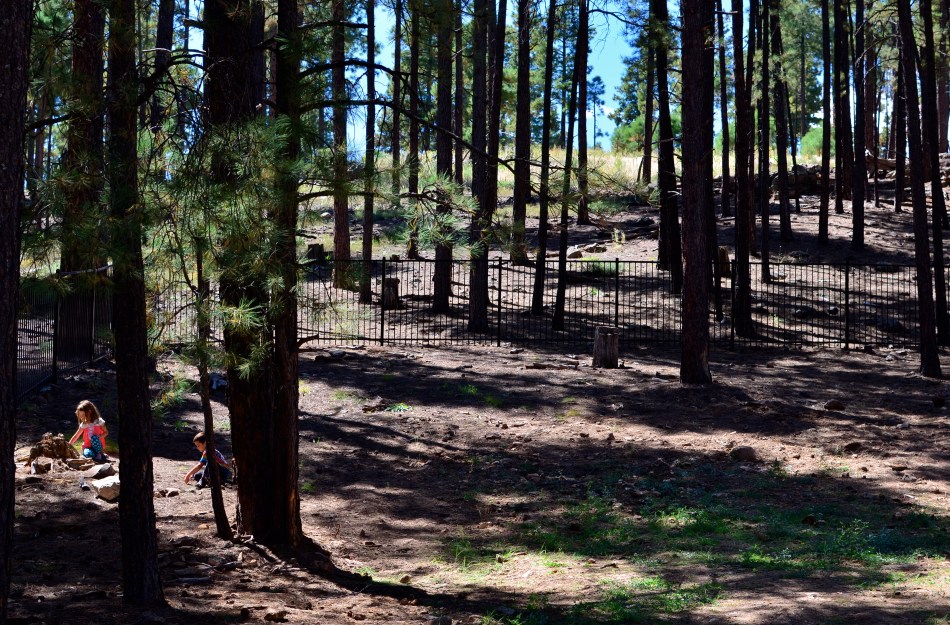 We Seemed To Be The Entire World, 2015.