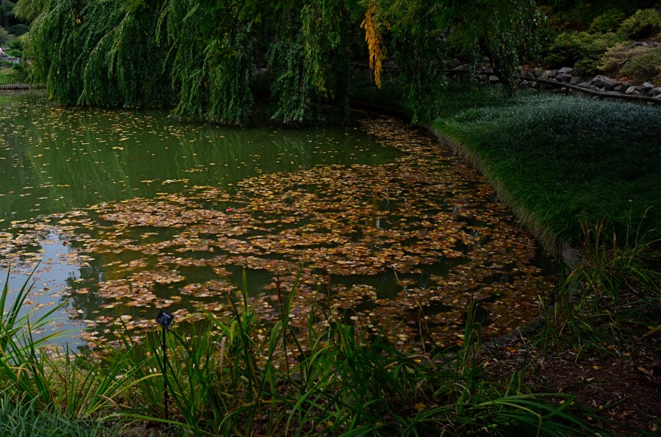 Aperture priority would have worked too hard to make this exposure "balanced", which was the opposite of what I wanted.