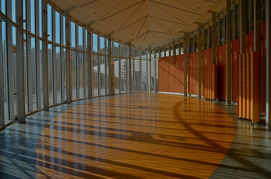 Carpe diem: when the light's right, be ready to shoot. 