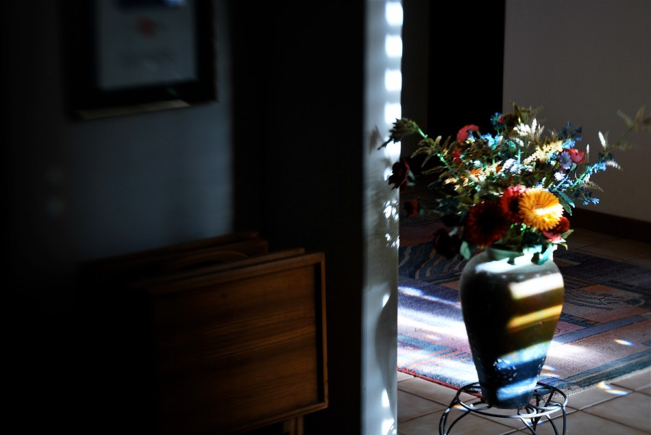 Selective focus on the cheap. Image made with the economical Lensbaby Spark lens. 1/40 sec., f/5.6, ISO 100, 50mm.