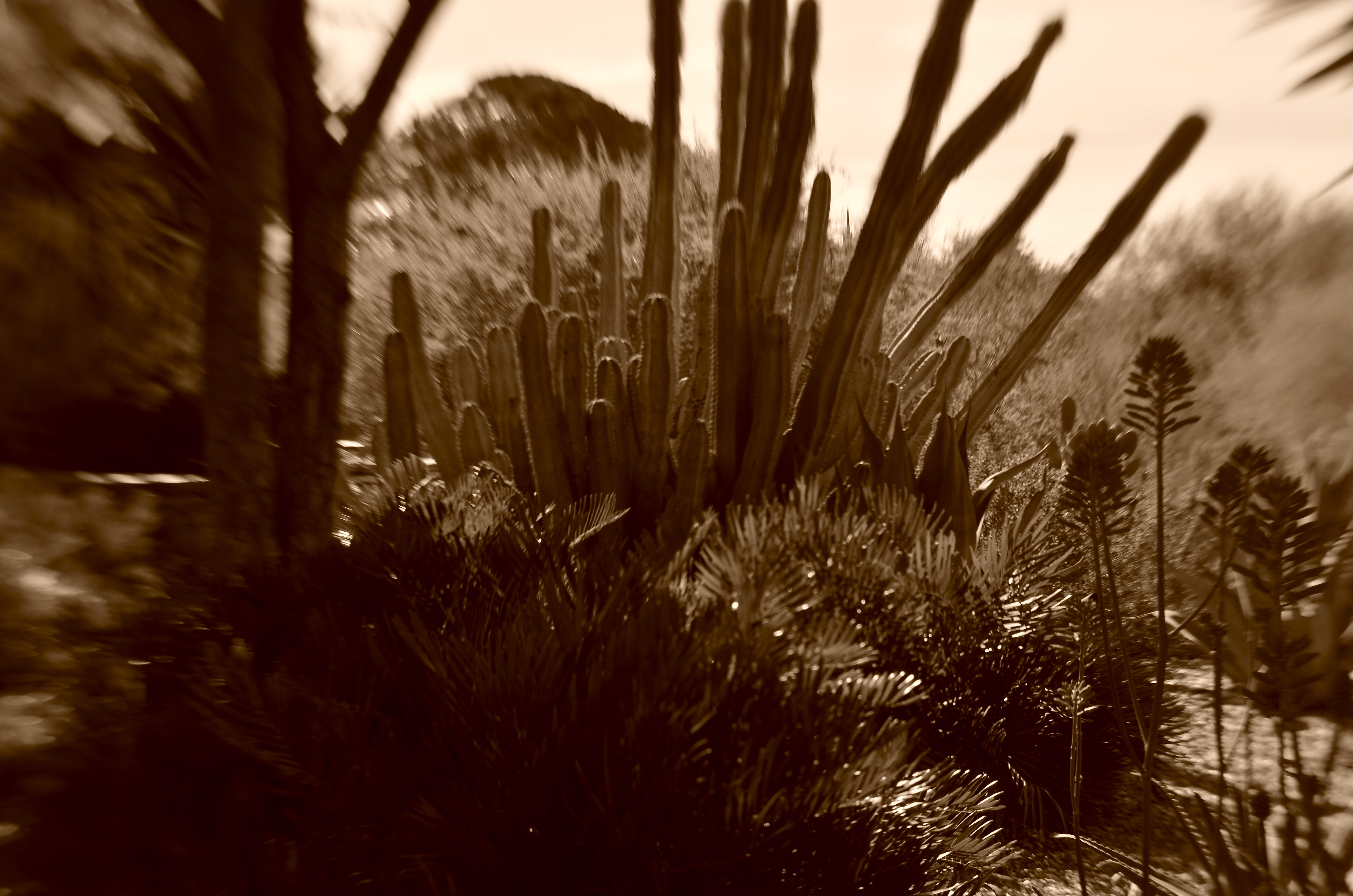 Mystery Mountain, 2016. Brand-new technology produces old-time feel.