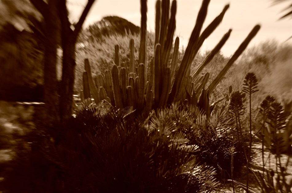 Mystery Mountain, 2016. Brand-new technology produces old-time feel.