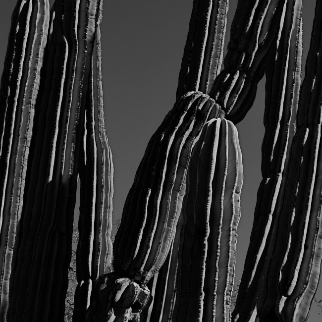 A monochrome re-mix from months after the original was snapped.