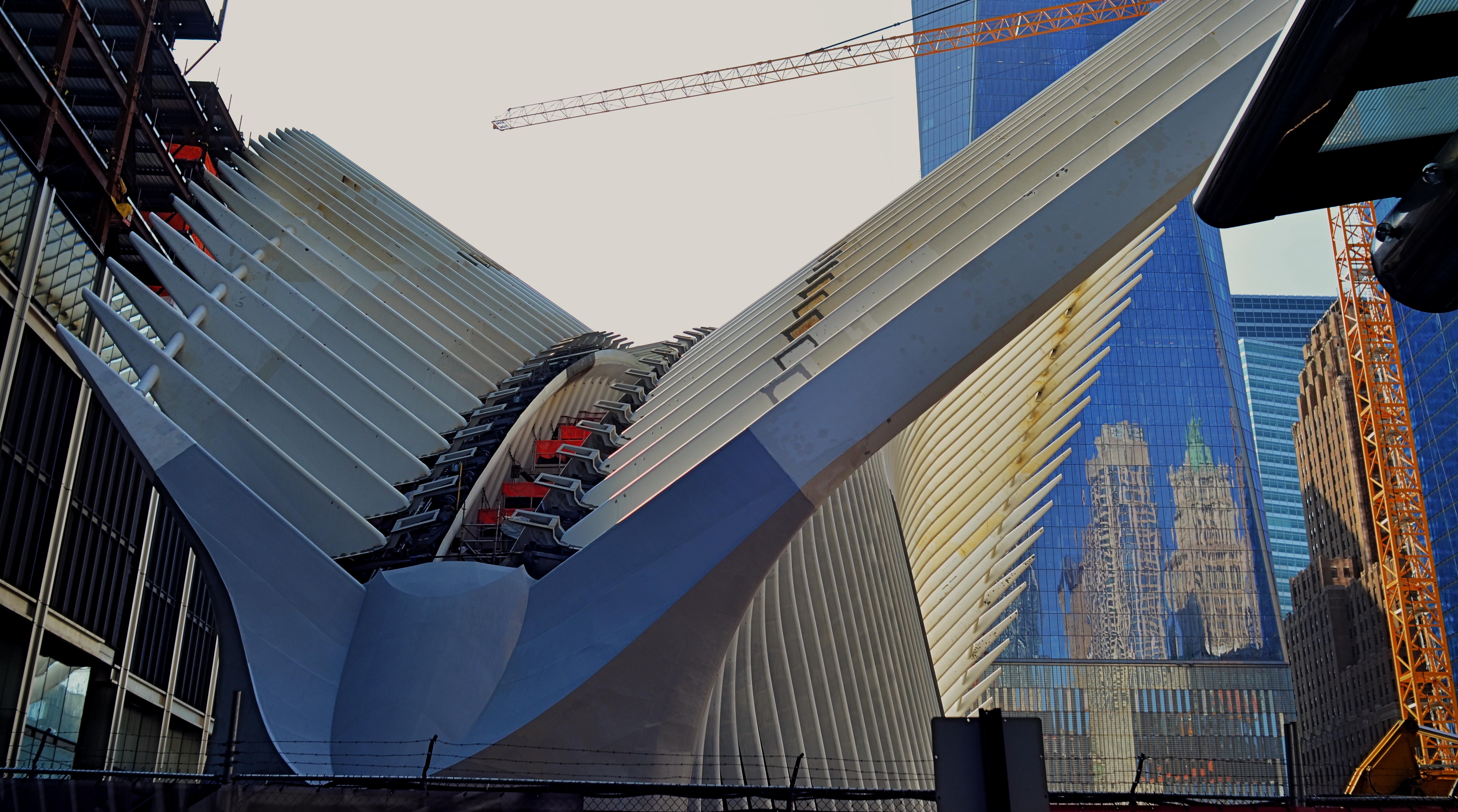Oculus Aloft: the steel wings of the new PATH terminal for New York's World Trade Center nears completion in 2015.