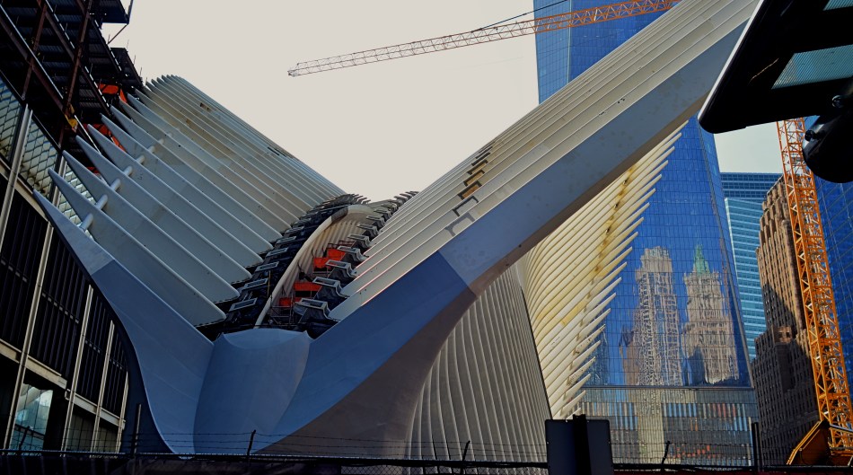 Oculus Aloft: the steel wings of the new PATH terminal for New York's World Trade Center nears completion in 2015.