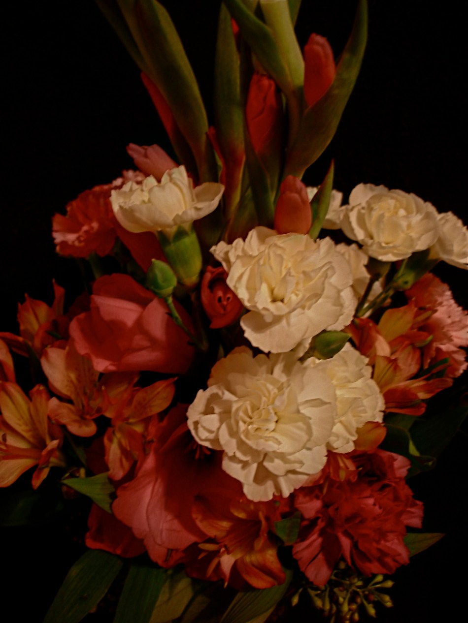 I have had to change my approach to flowers over a lifetime, and I still don't "get" them in a real way.