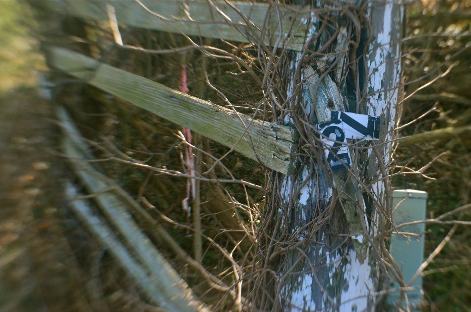 Down The County Line Road, 2016. A fairly obvious study in "ruin" photography.