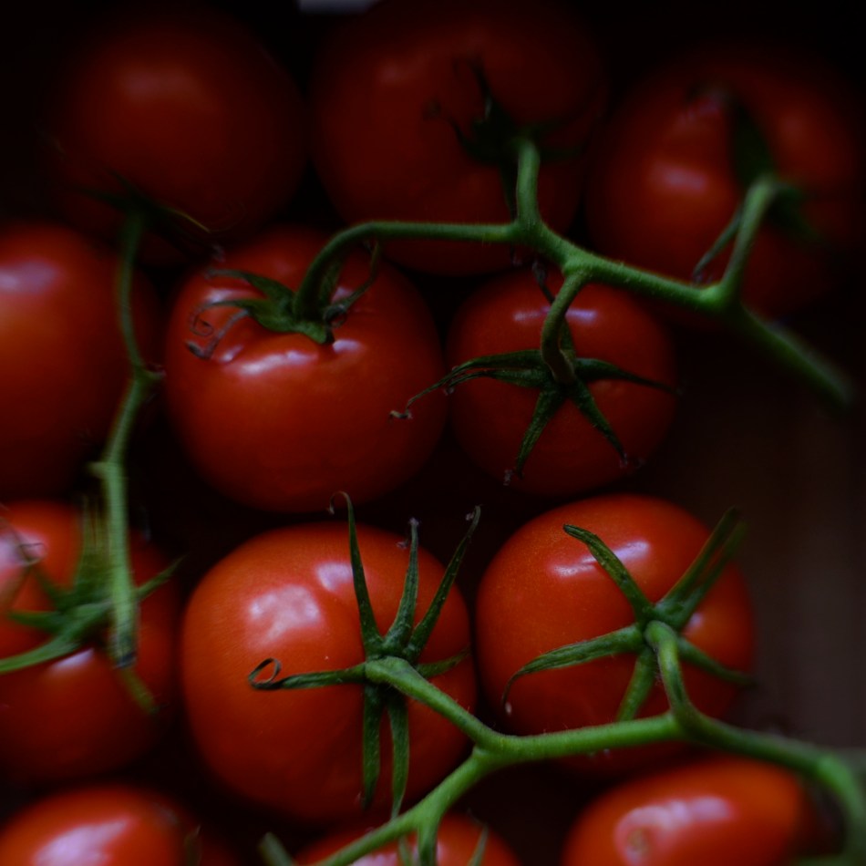 Two colors, and only two colors. Is anything else needed to sell this image?