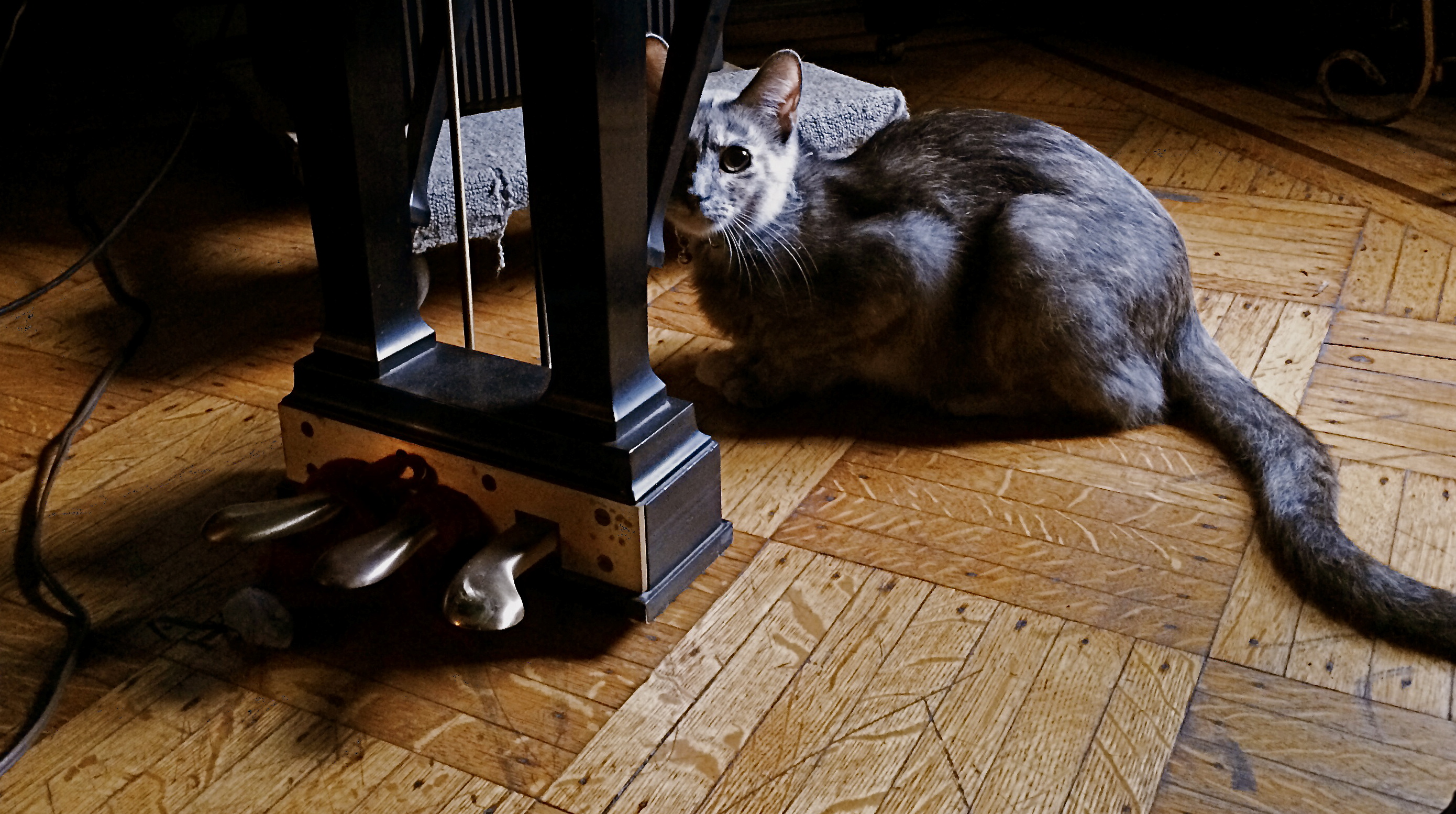 Don't draw portrait subjects into your energy. Eavesdrop on theirs.