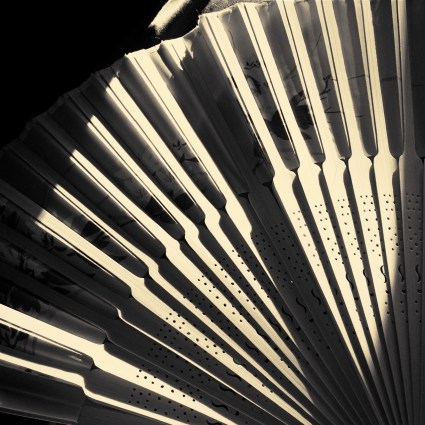 A simulation of the platinum printing process on a cell phone app.