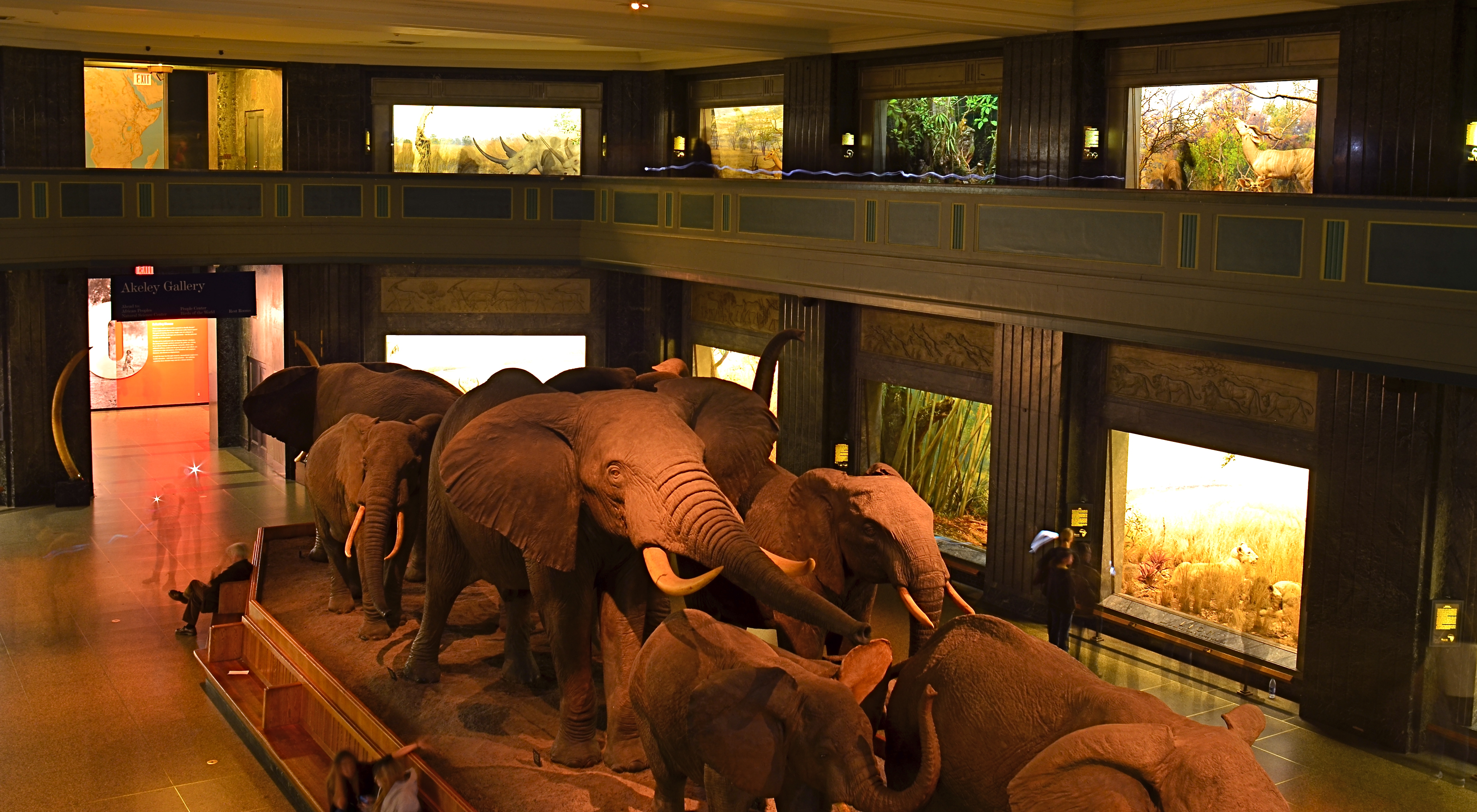 Herd On The Street, 2016.