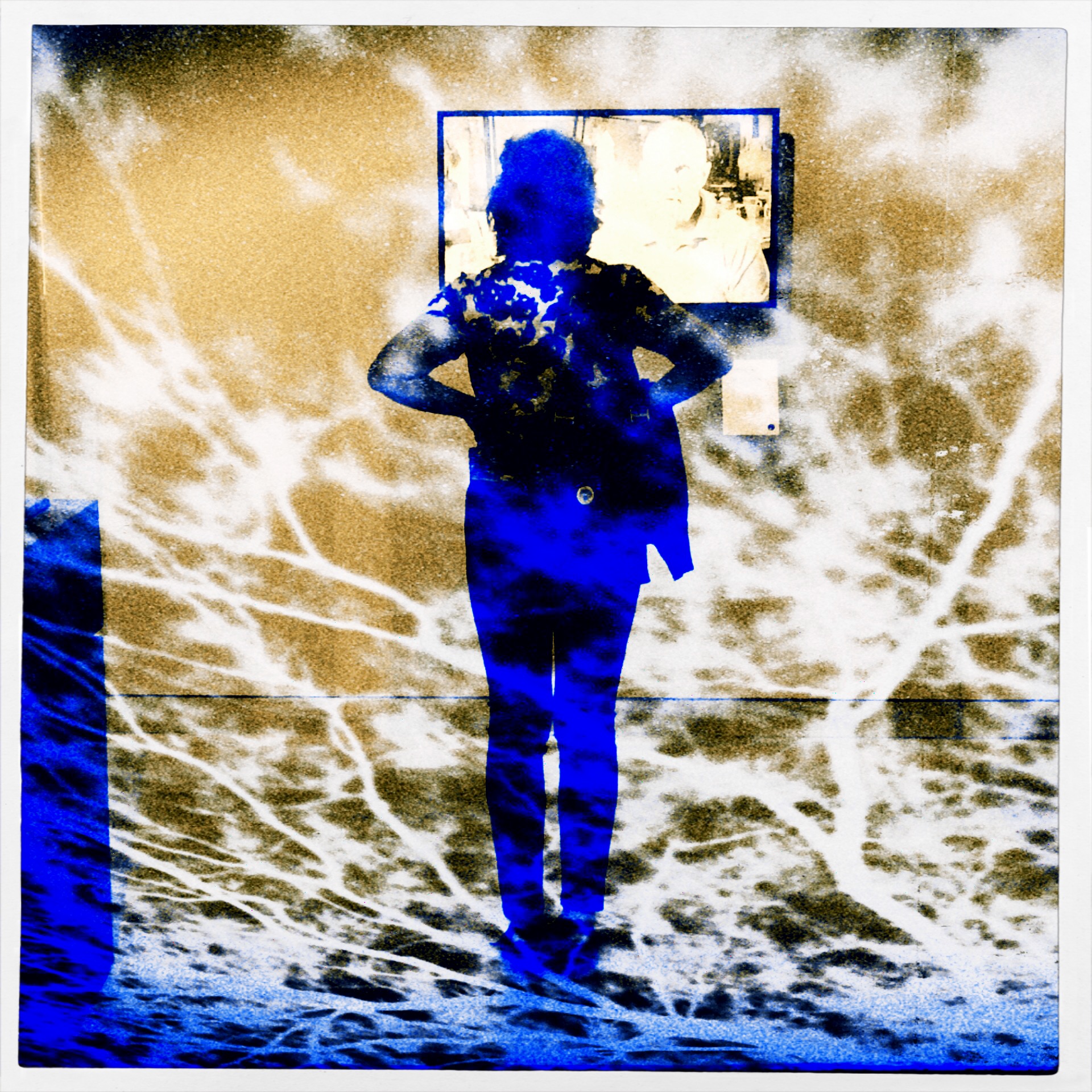 Immersive Experience (2016)