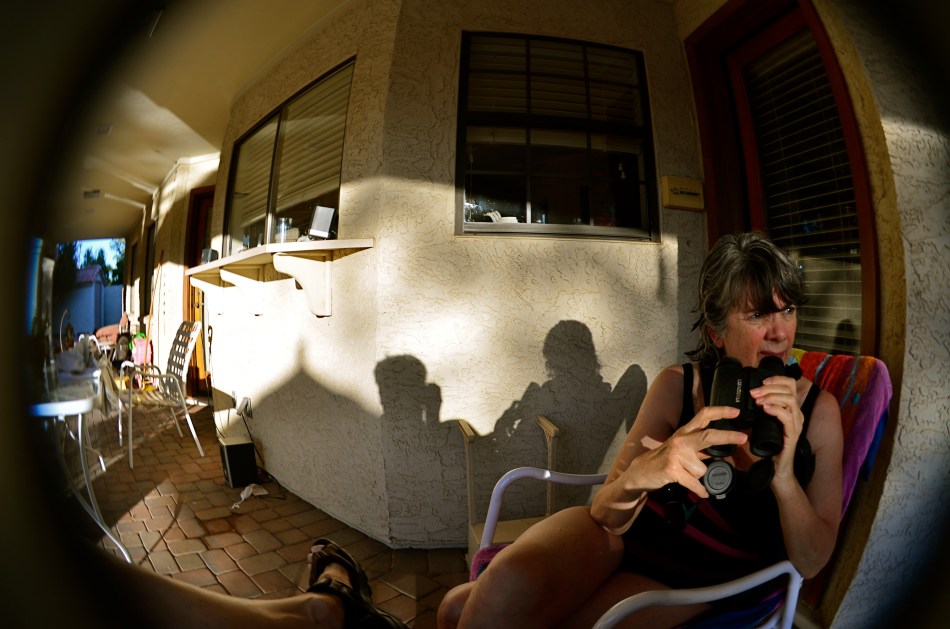 Fisheye lenses demonstrate what all wide-angles do: create an unreal look that can be managed and massaged to your ends.