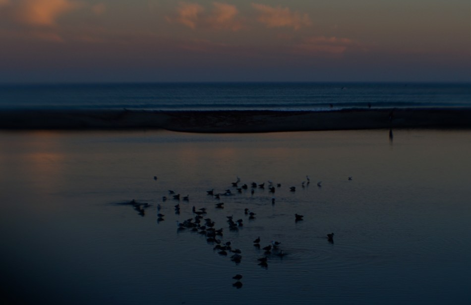Doheny State Park Beach, 2016 A Plastic 35mm lens at f/8,
